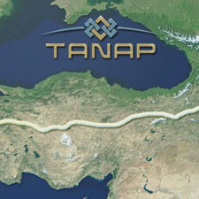 Tanap Logo
