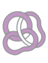 <p>​5. <br></p>